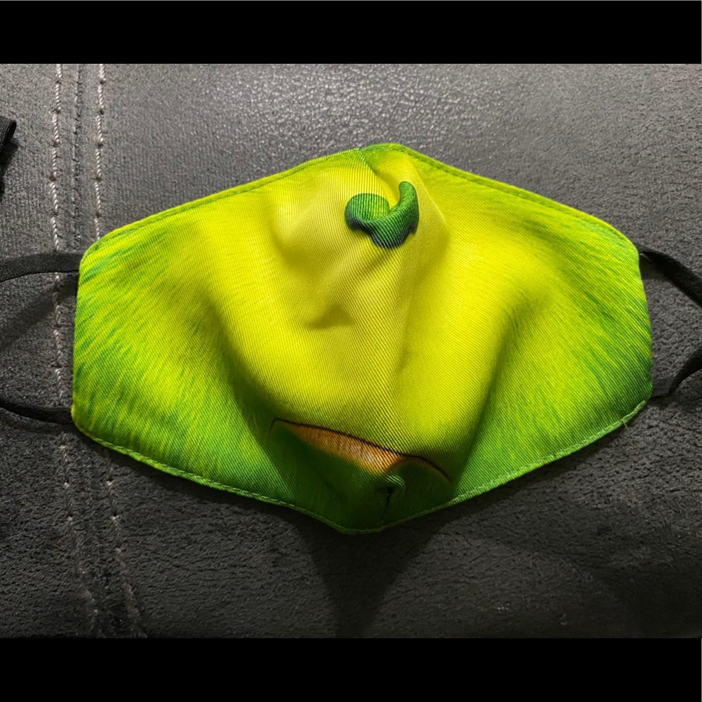 Grinch Face Masks (Adult size)